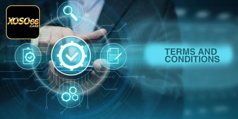 vai trò của điều khoản và điều kiện xoso66