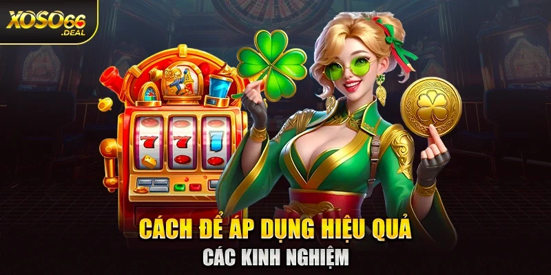 Cách để áp dụng hiệu quả các kinh nghiệm