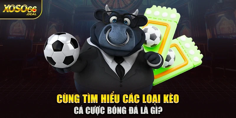 Cùng tìm hiểu Các loại kèo cá cược bóng đá là gì?