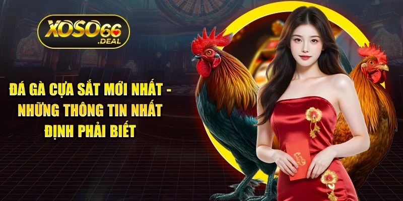 Đá gà cựa sắt mới nhất