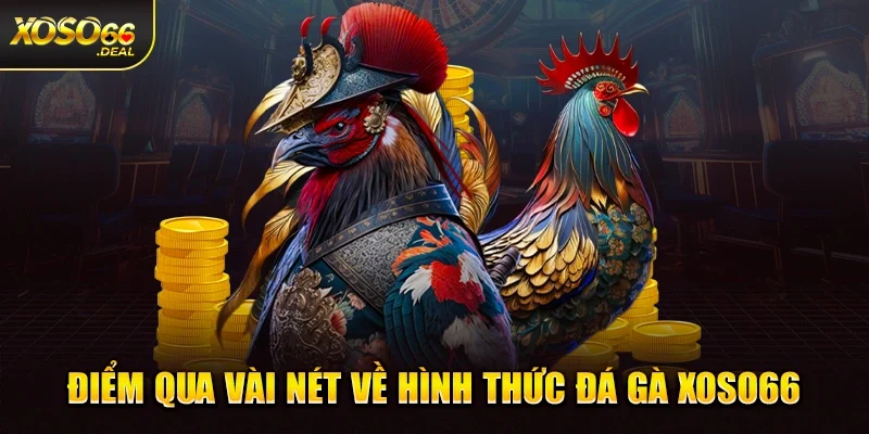 Điểm qua vài nét về hình thức đá gà Xoso66