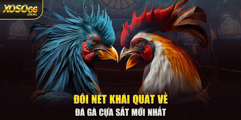 Đôi nét khái quát về đá gà cựa sắt mới nhất