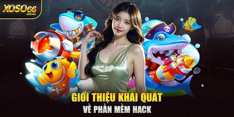 Giới thiệu khái quát về phần mềm hack