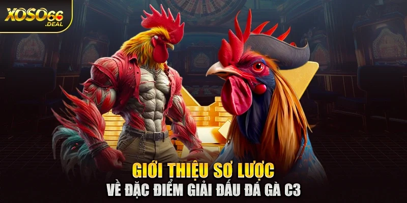 Giới thiệu sơ lược về đặc điểm giải đấu đá gà C3
