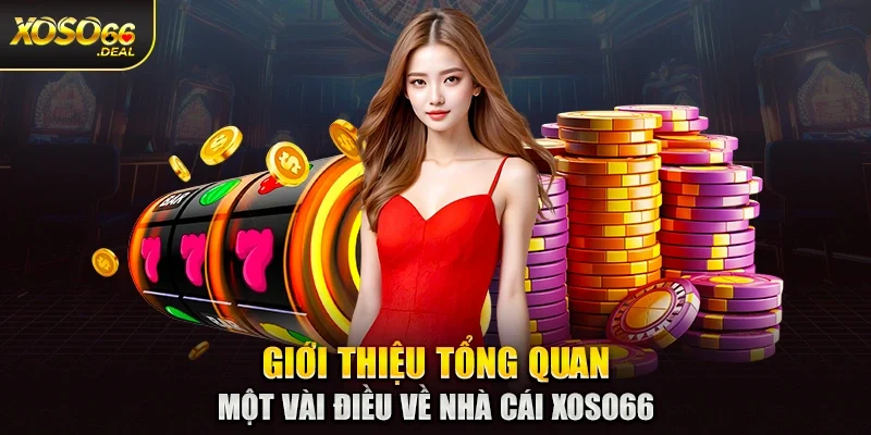 Giới thiệu tổng quan một vài điều về nhà cái Xoso66