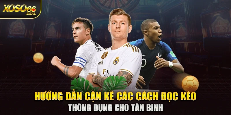 Hướng dẫn cặn kẽ các cách đọc kèo thông dụng cho tân binh