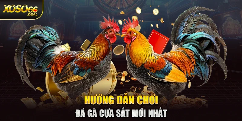 Hướng dẫn chơi đá gà cựa sắt mới nhất