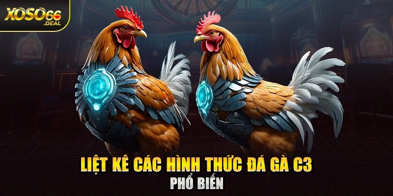 Liệt kê các hình thức đá gà C3 phổ biến
