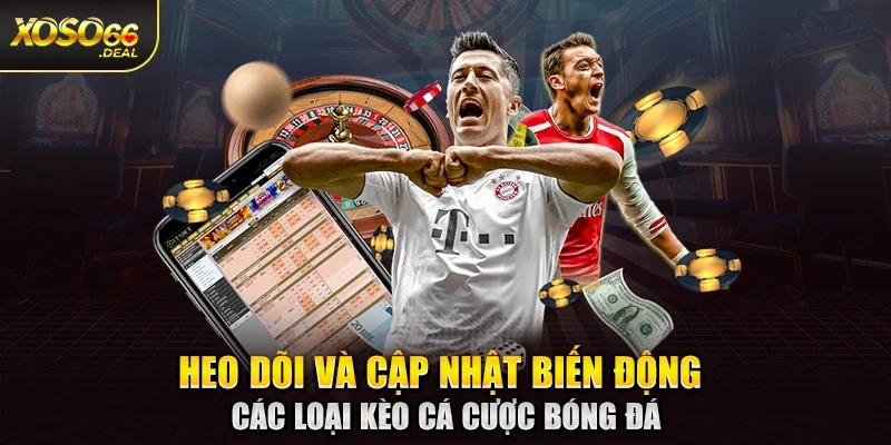 Theo dõi và cập nhật biến động các loại kèo cá cược bóng đá