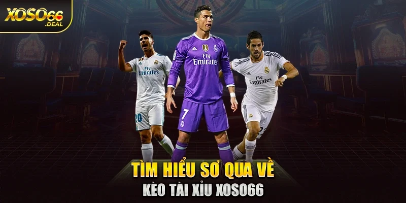 Tổng quan hình thức chơi kèo châu Á Xoso66